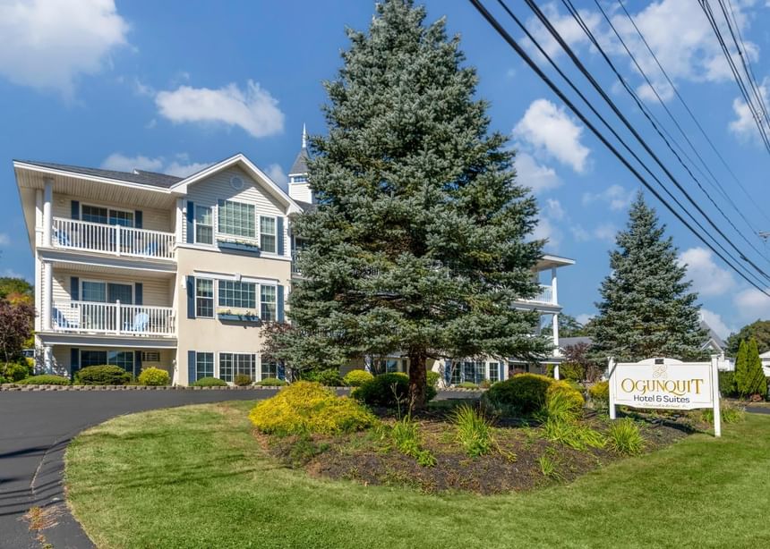 A cypress tree near Ogunquit Hotel & Suites at Ogunquit Collection