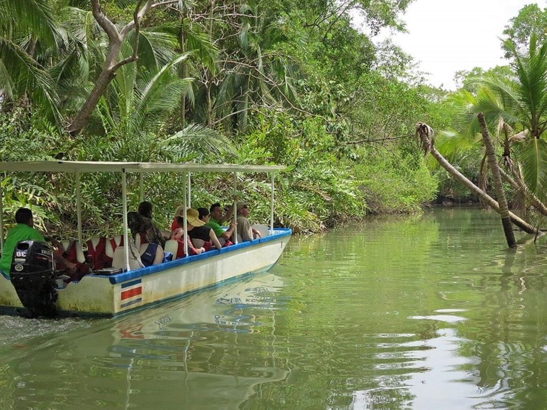 Manuel Antonio Tours, Boat Expedition