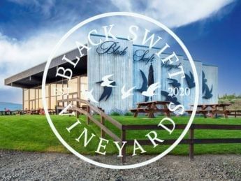 Black Swift Vineyards building with logo in foreground at center.
