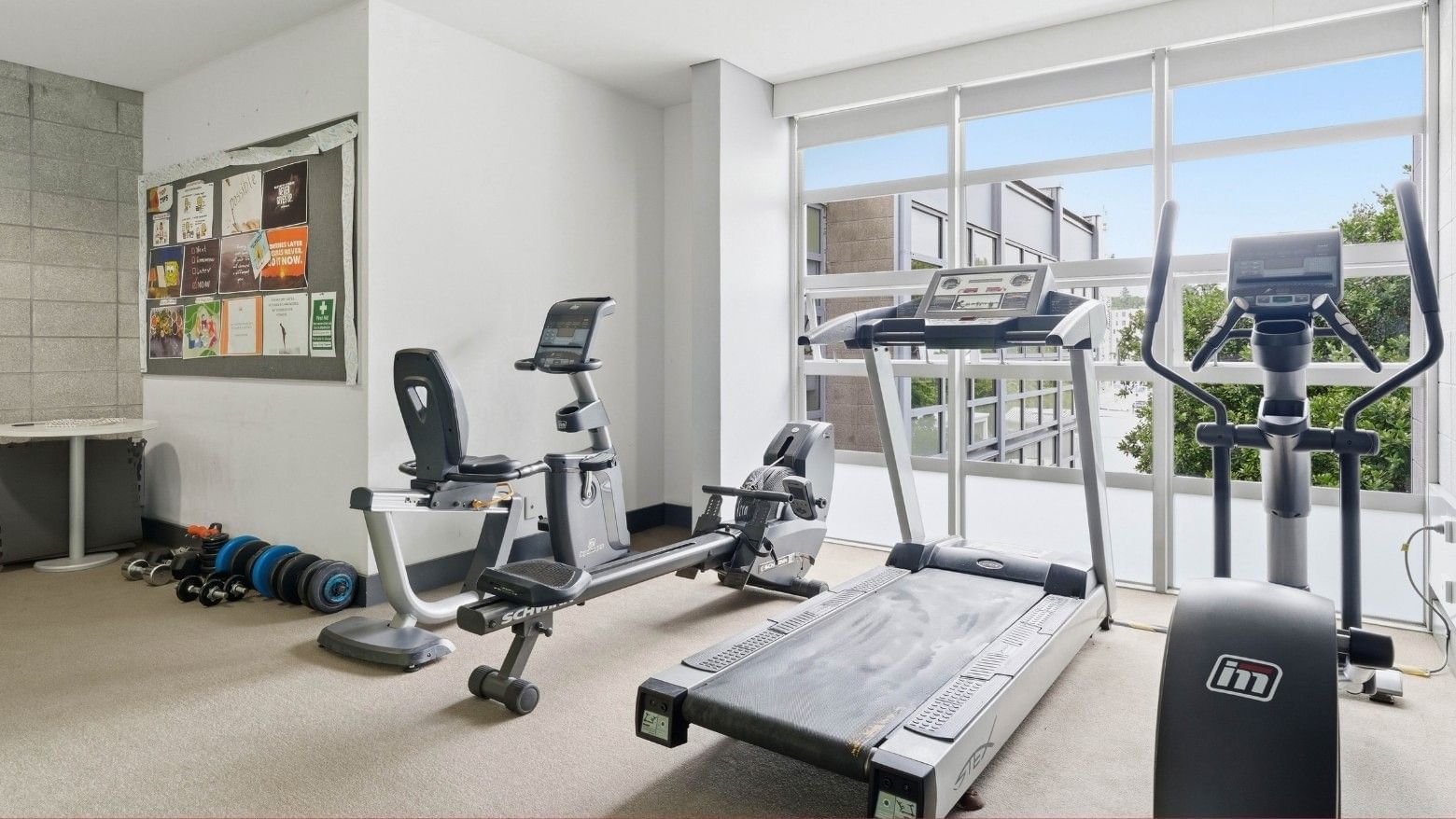 Three cardio machines and dumbbells in a gym with large windows at Student Living Auckland – Anzac.