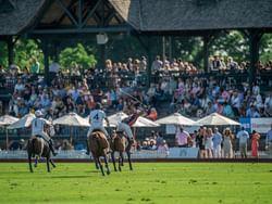 Polo player swinging at ball on the field at Greenwich Polo Club near J House Greenwich