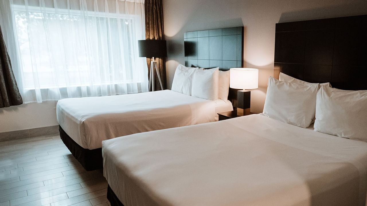 Pet Friendly Room with Two Queen Beds