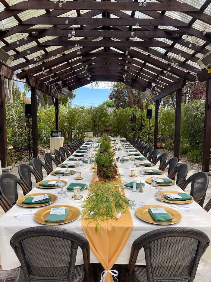 Long outdoor table set for a meal under a wooden pergola with greenery and decorative elements.