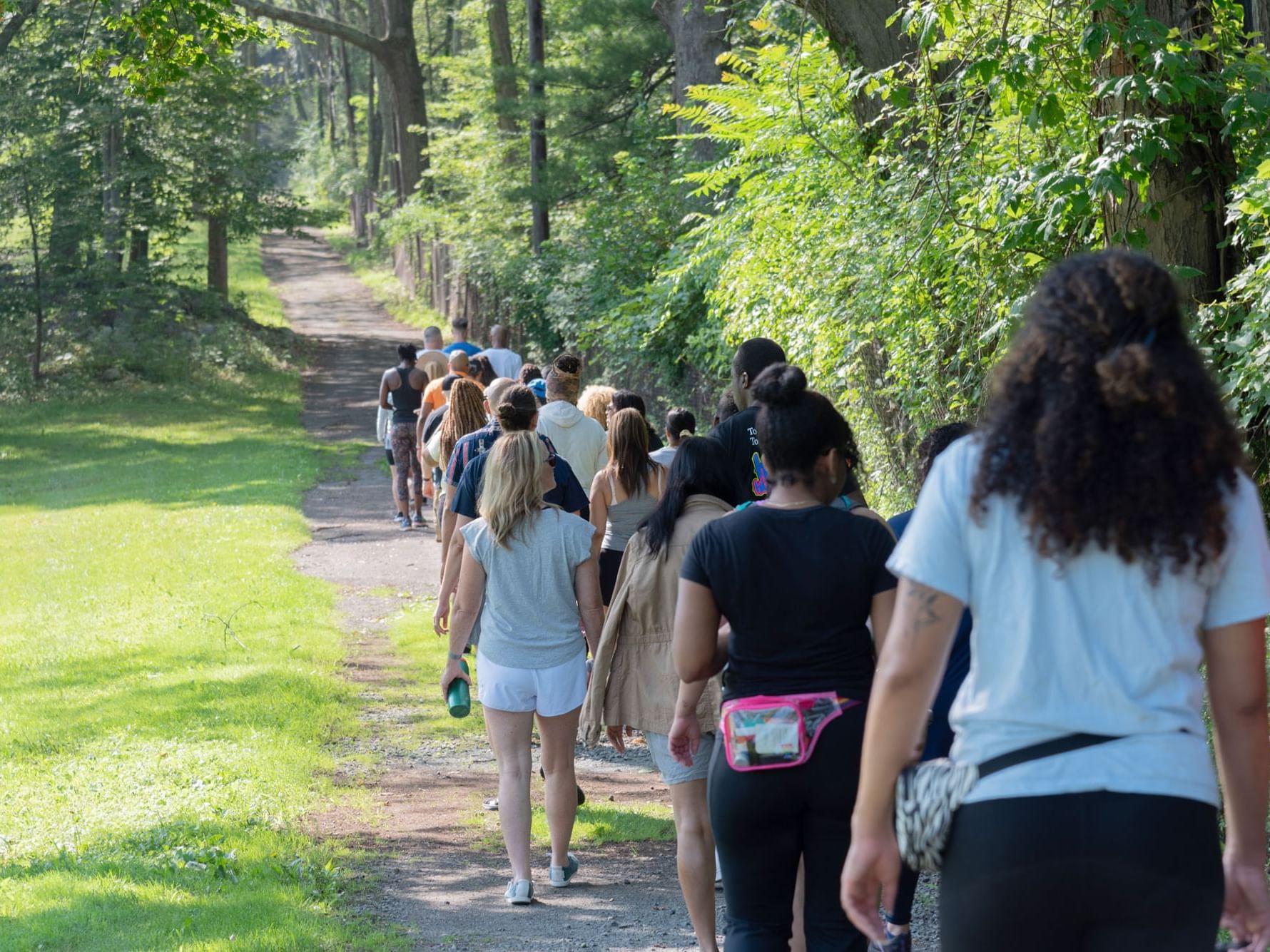 People walking on the path middle of the forest, Honor’s Haven