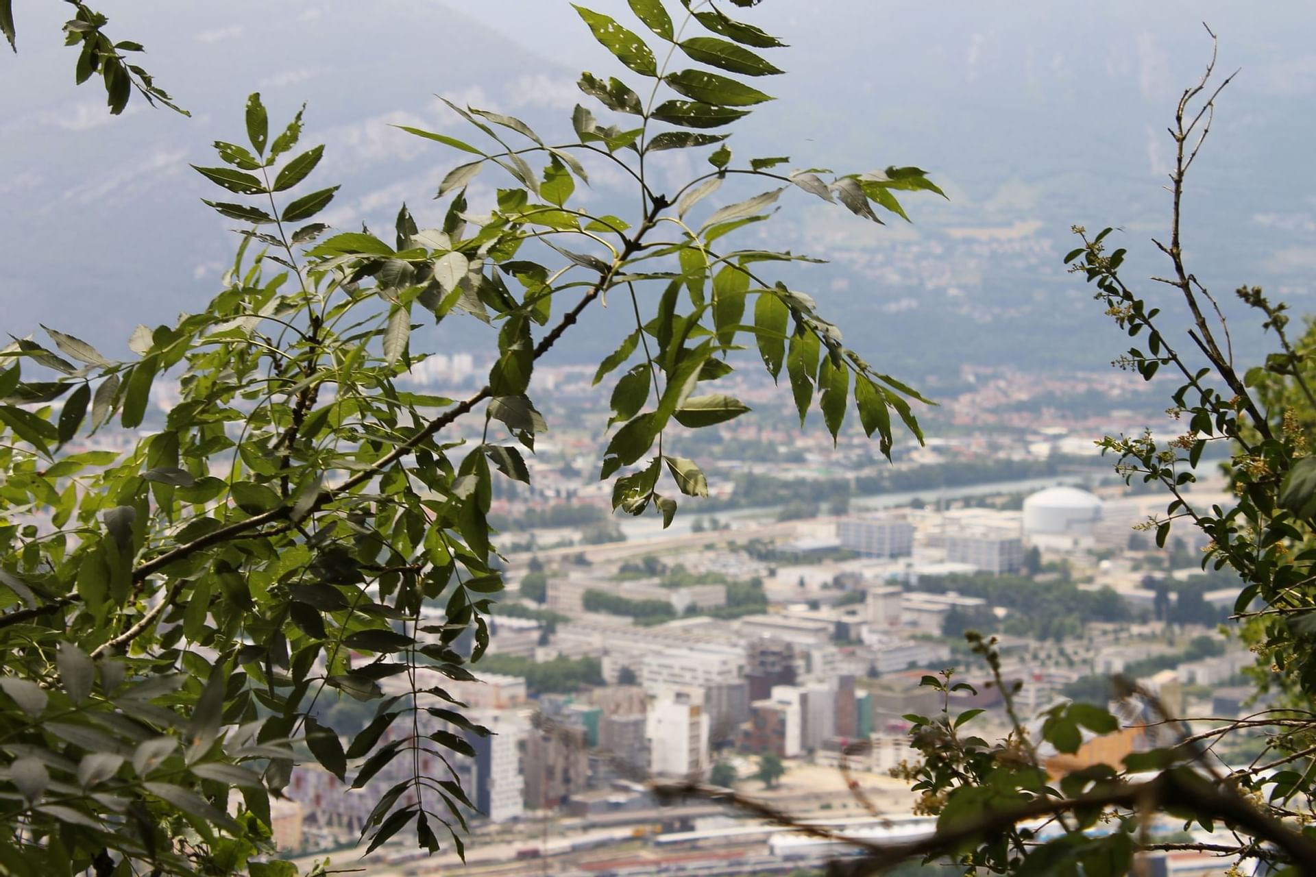 View of a city through trees near The Originals Hotels