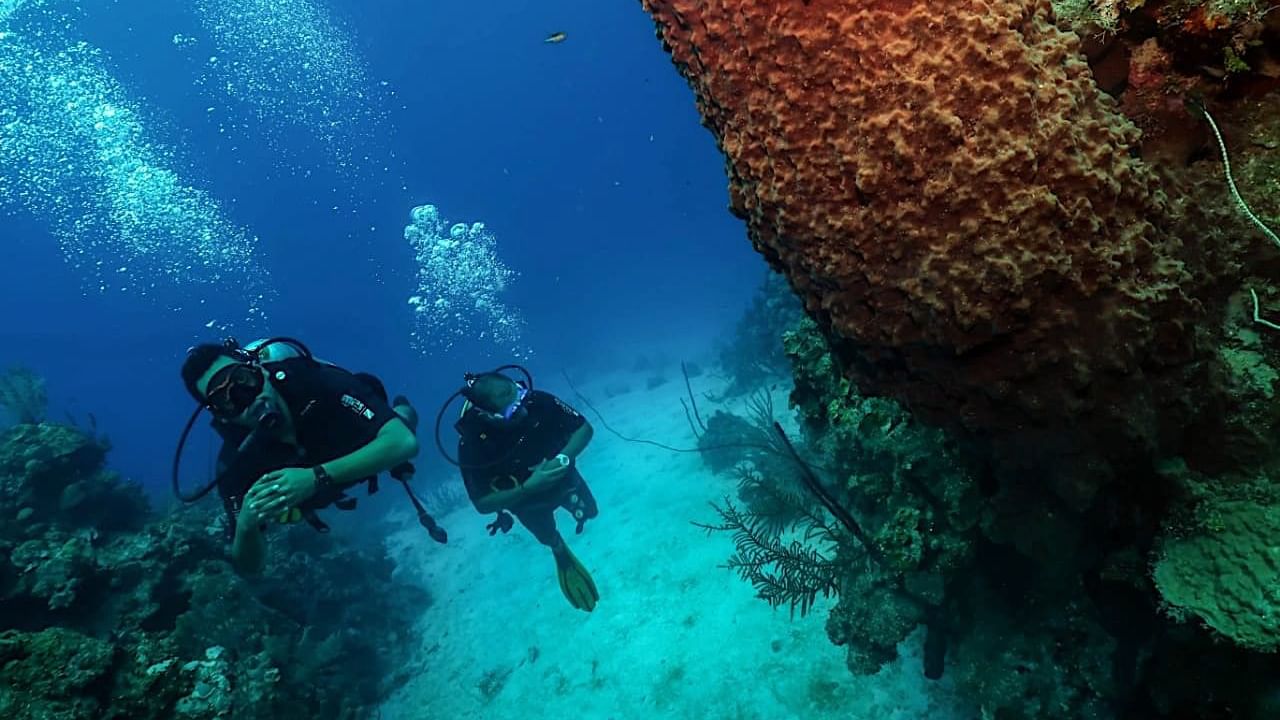 Two scuba divers explore a coral reef beside a sponge formation near Infinity Bay Spa & Beach Resort