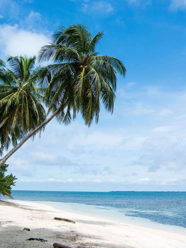 Robinson Crusoe Island with Lush palm trees by a white sand beach under a bright blue sky near Tambua Sands Beach Resort
