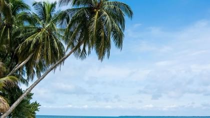 Robinson Crusoe Island with Lush palm trees by a white sand beach under a bright blue sky near Tambua Sands Beach Resort