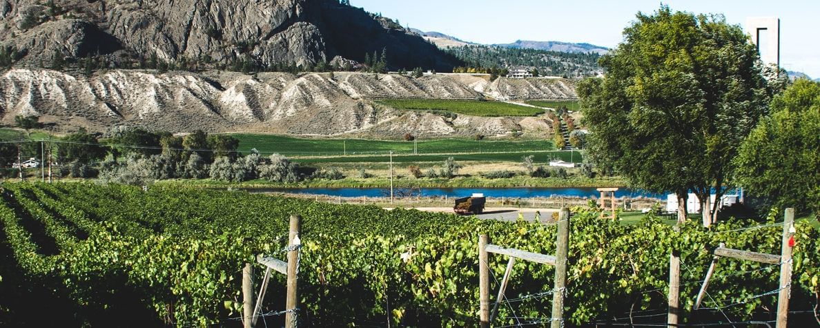 For wine, consider the Okanagan instead of Napa Valley - The Washington Post