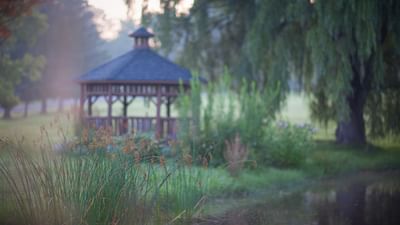 Wooden gazebo near pond and lush green trees in soft daylight on grounds at La Tourelle Hotel and Spa