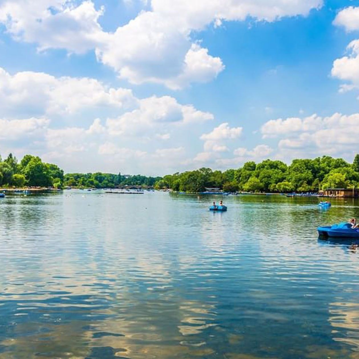 People in blue pedal boats floating on a calm lake near The Capital Hotel, Apartments and Townhouse