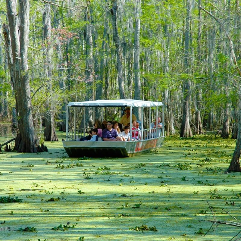 Group of people on a Swamp Boat Tour near La Galerie Hotel