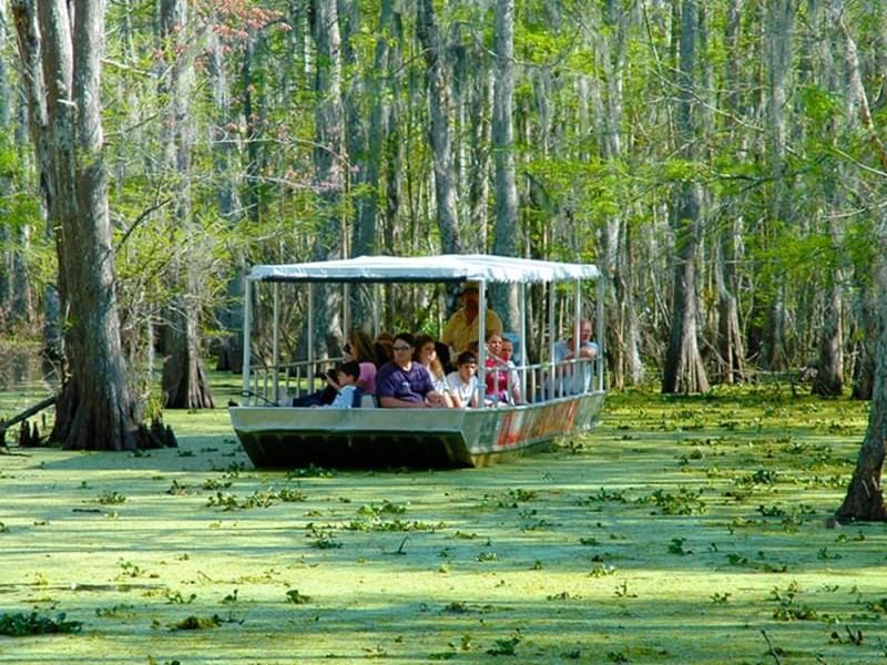 A group of people in a Swamp Boat Tour near the hotel