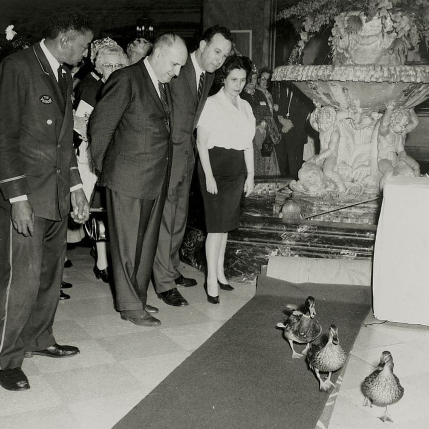 1950 image of Peabody Ducks at Peabody Hotels & Resorts