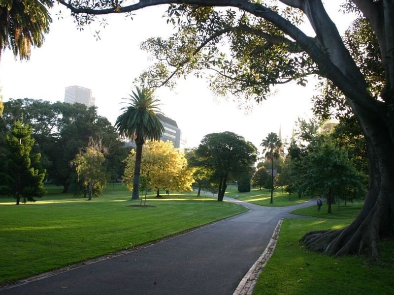 Fitzroy Gardens at the Pullman Melbourne on the park