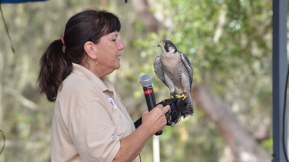 Avian Reconditioning Center near Legacy Vacation Resorts