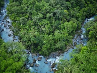 An aerial view of the River and Trees at Rio Celeste Hideaway