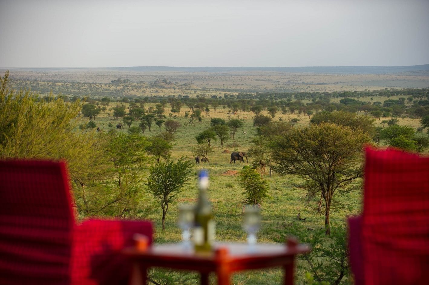 Sundowner Experience