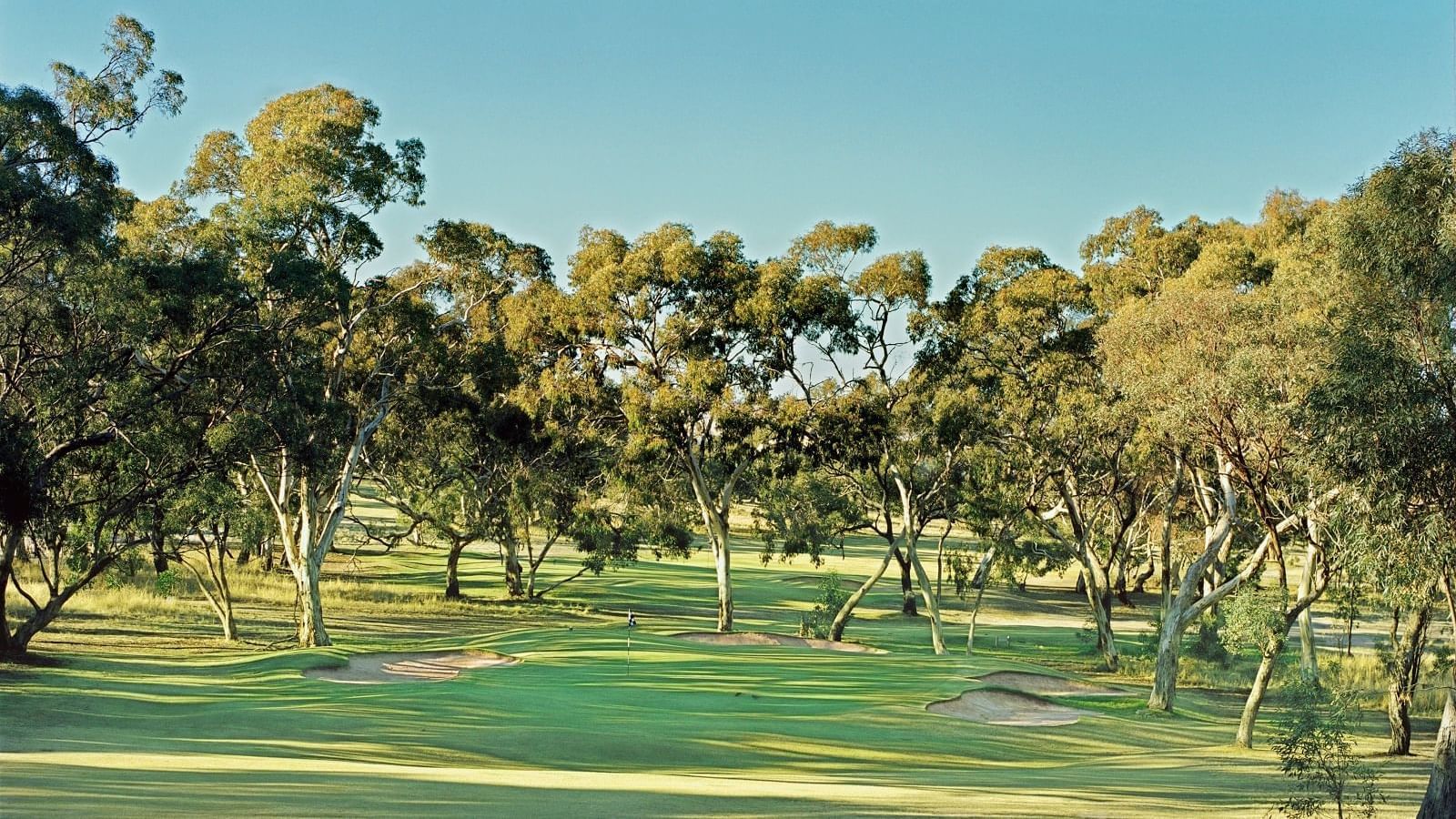 A ground surrounded by trees near Novotel Barossa Valley