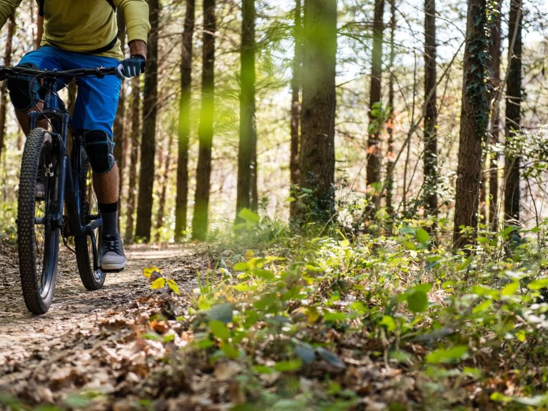 Adventurous man mountain biking along a rugged trail through the scenic mountains