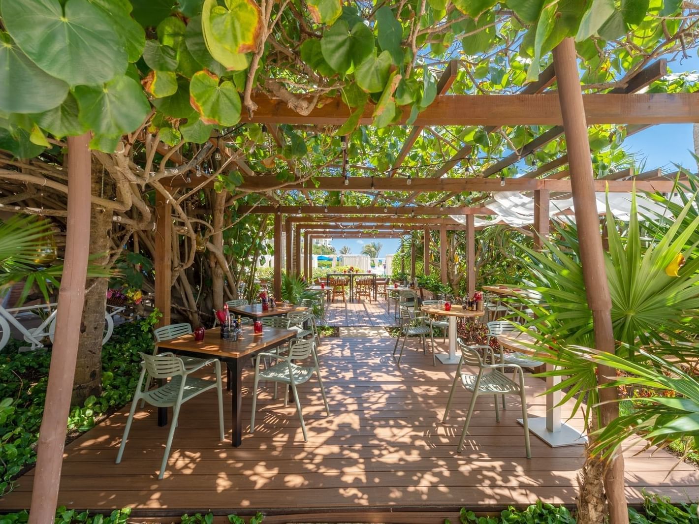 outdoor dining tables under tree covered pergola