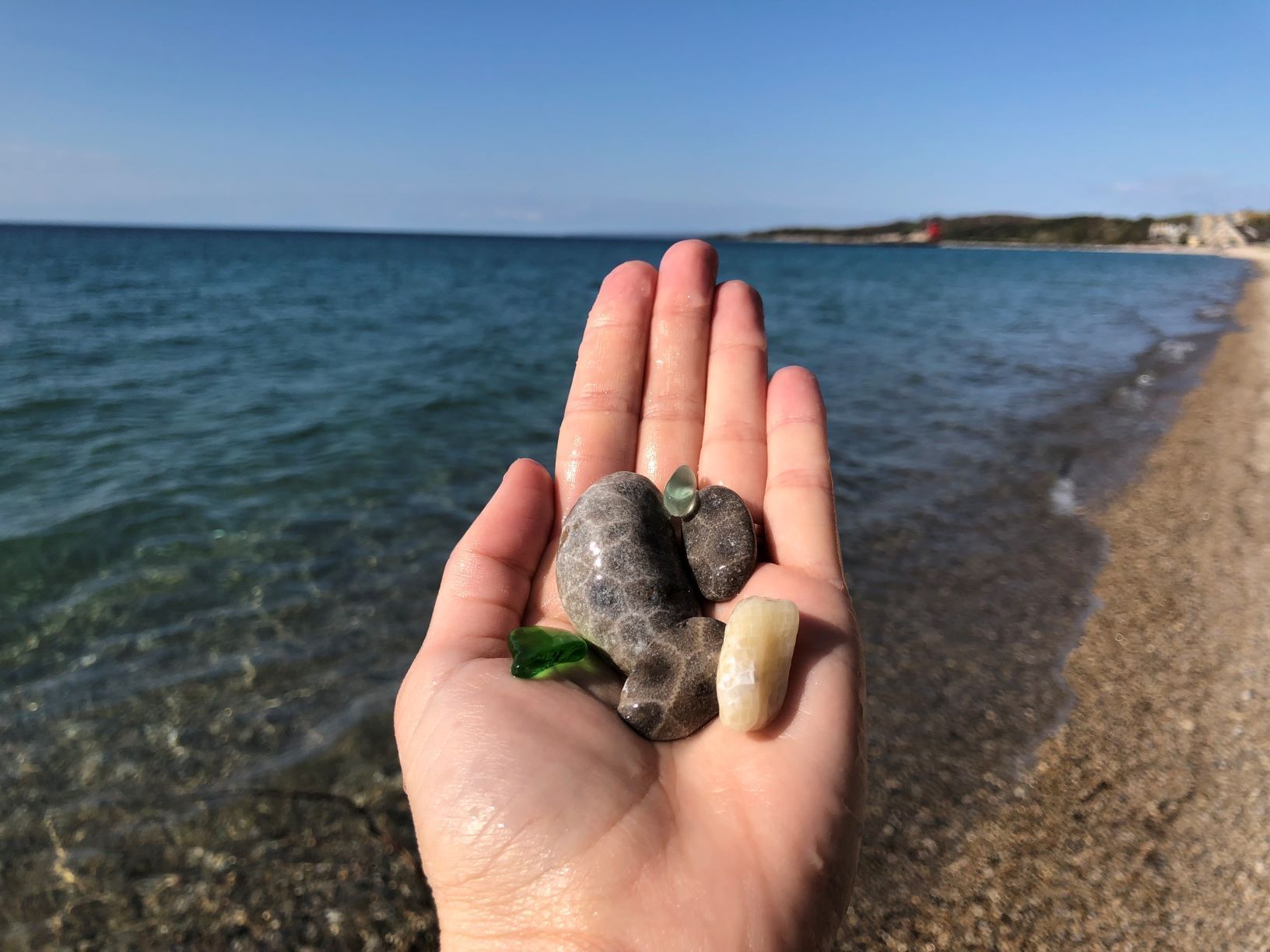 Close-up of handing Petoskey stones at Lake Michigan near The Earl