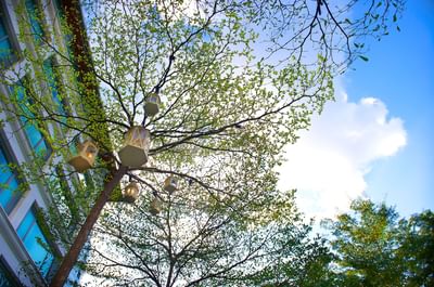 Low-angle view of a white lantern hanging from a tree branch at MiCasa All Suite Hotel KL