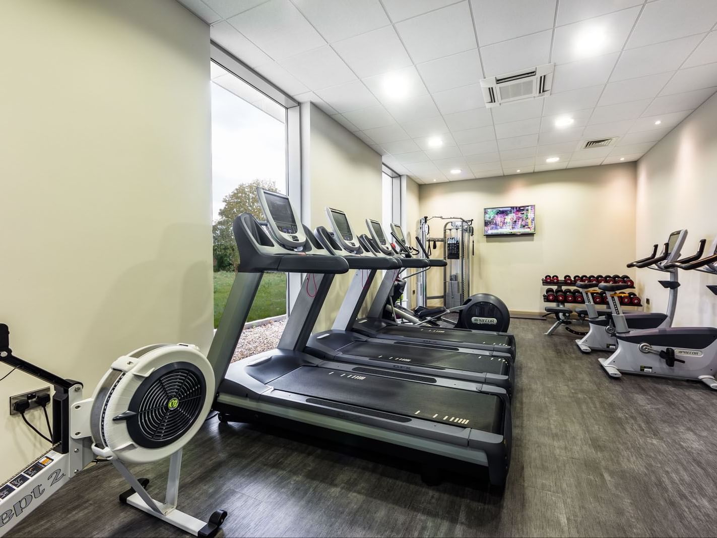 Gym with treadmills, rowing machine, and weights by large windows offering greenery views at Heston Hyde Hotel