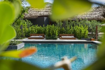 Tropical El Mangroove Hotel pool with sunbeds by greenery in the foreground