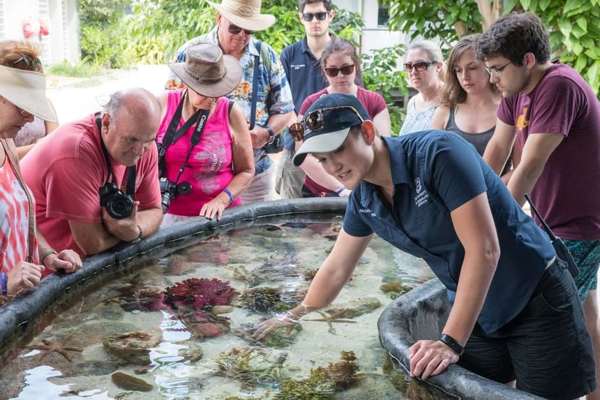 Guide showing corals in Research Station at Heron Island Resort