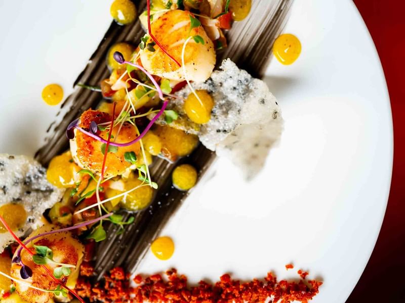 Scallops served, Pullman Palm Cove Sea Temple Resort & Spa