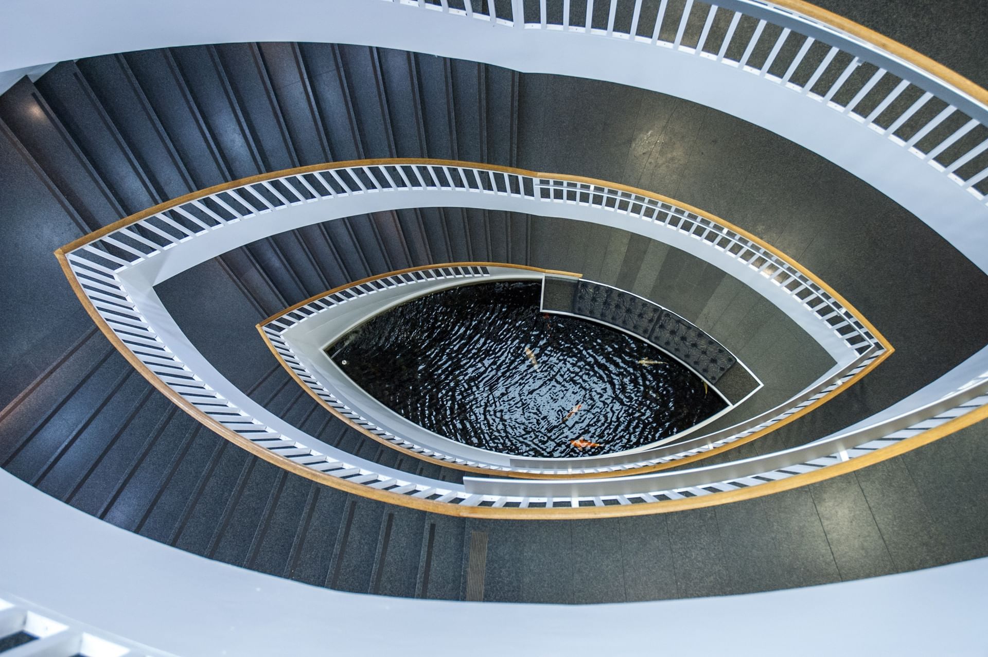 Spiral staircase with white railings and wooden handrails surrounding a koi pond at MCA Chicago near Hotel Saint Clair