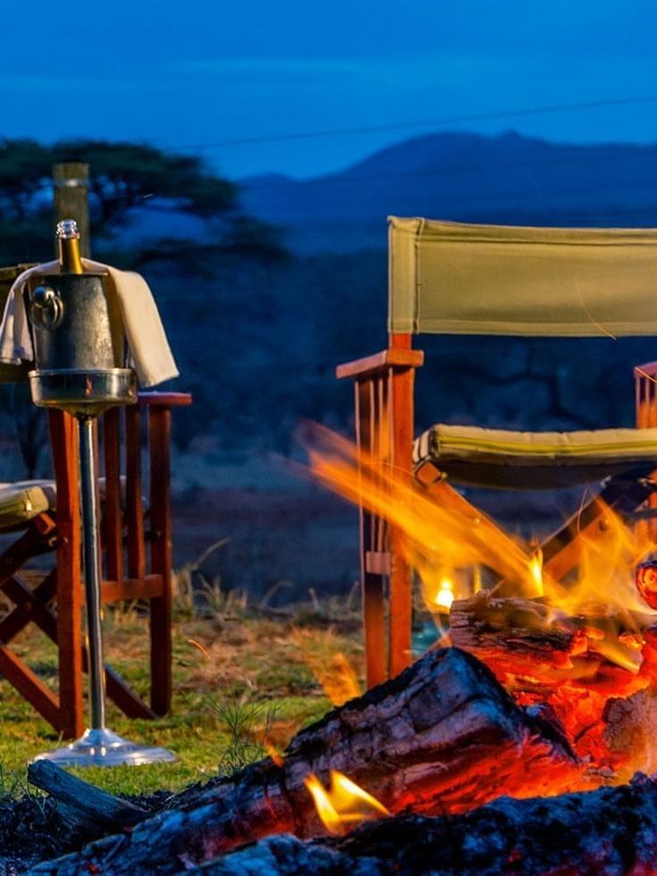 Bush dining experience