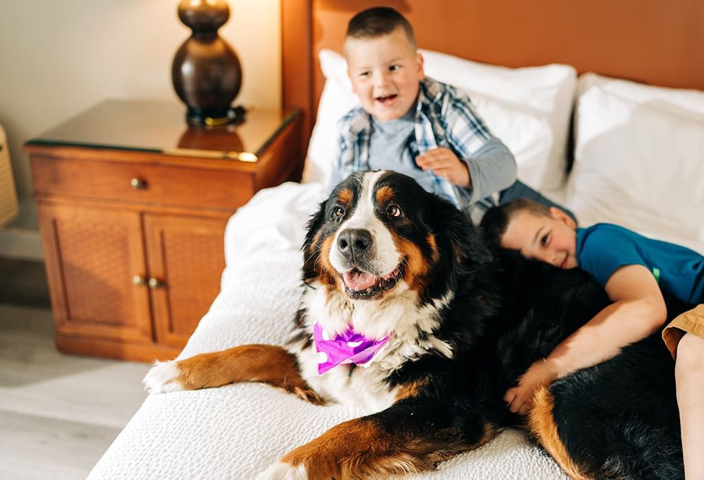 kids on a ben with their dog