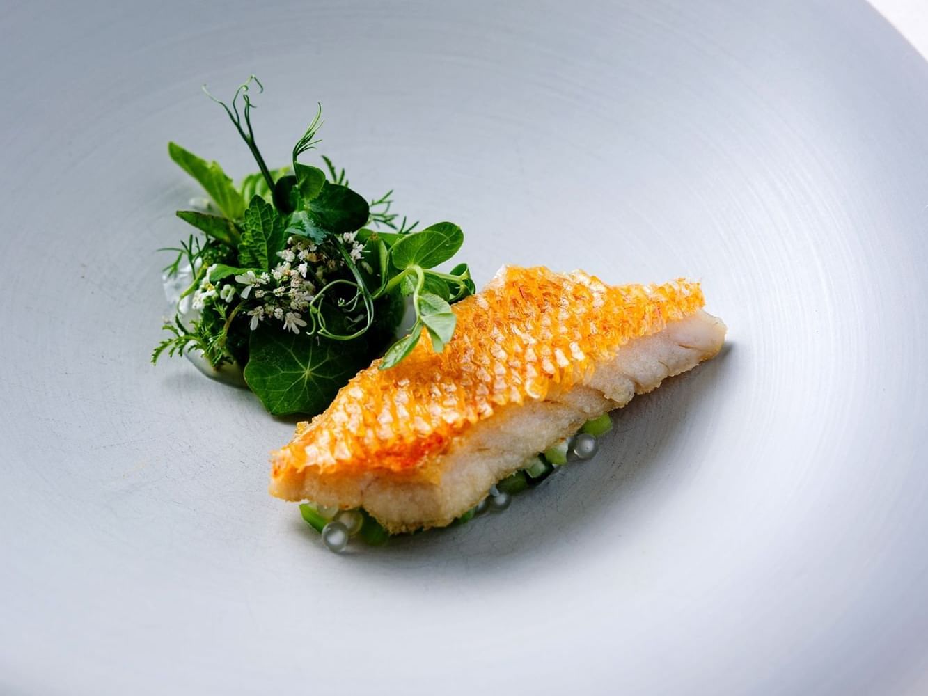 Close-up of a fish dish served in Herons at The Umstead Hotel and Spa
