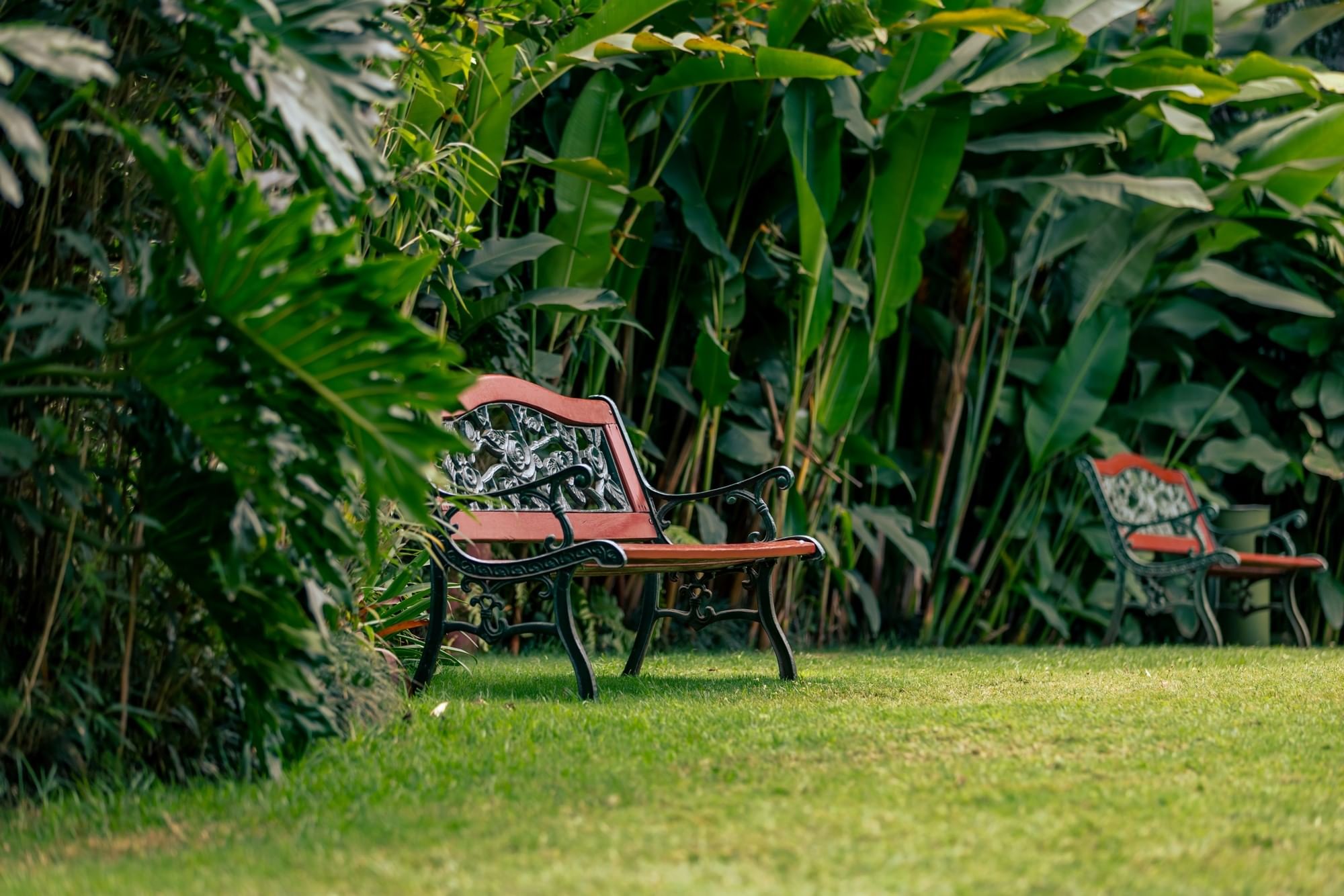 Nairobi Serena Hotel in Nairobi National Park — photo 8