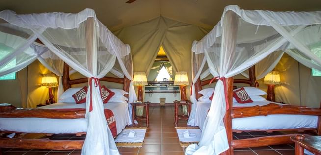 Queen size beds with curtain in Tent at Mbuzi Mawe Serena Camp