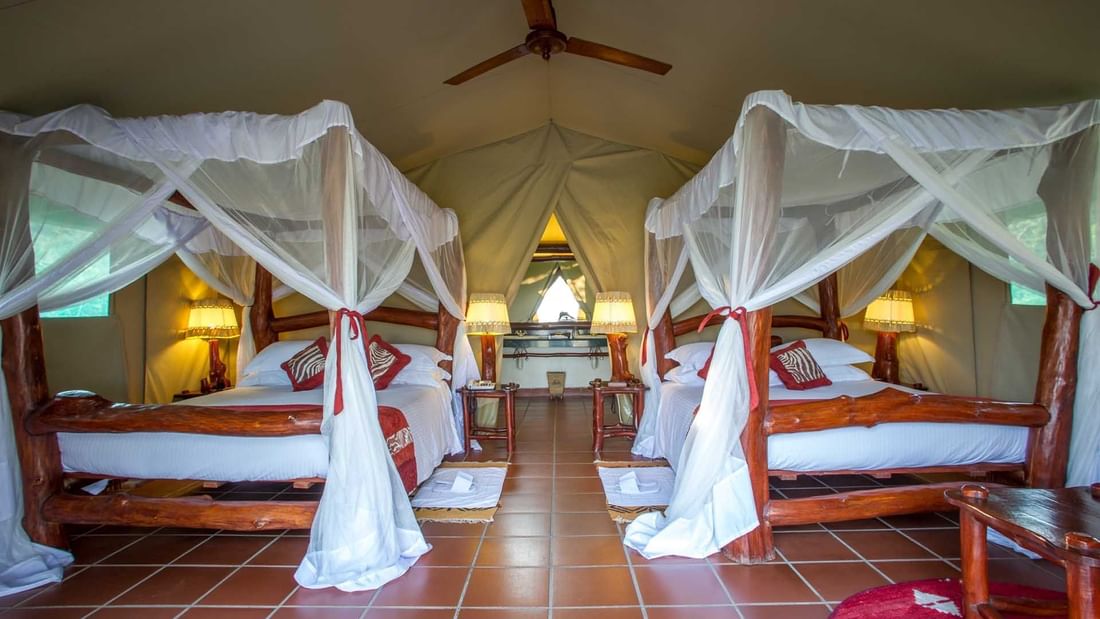 Queen size beds with curtain in Tent at Mbuzi Mawe Serena Camp