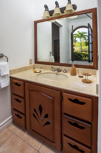 bathroom sink in tropical villa