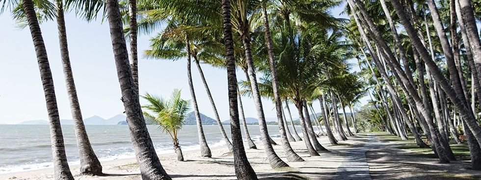 Beach near Pullman Palm Cove Sea Temple Resort & Spa
