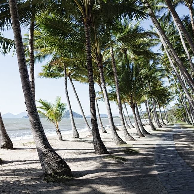 Beach near Pullman Palm Cove Sea Temple Resort & Spa