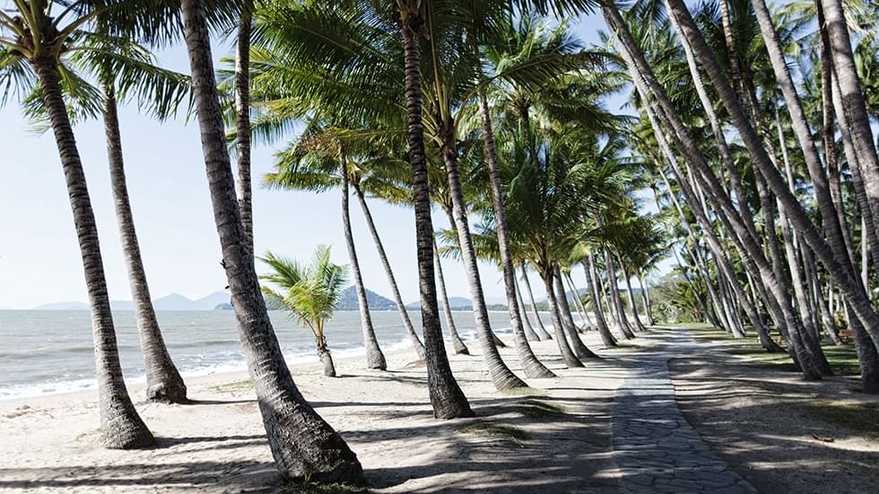 Beach near Pullman Palm Cove Sea Temple Resort & Spa