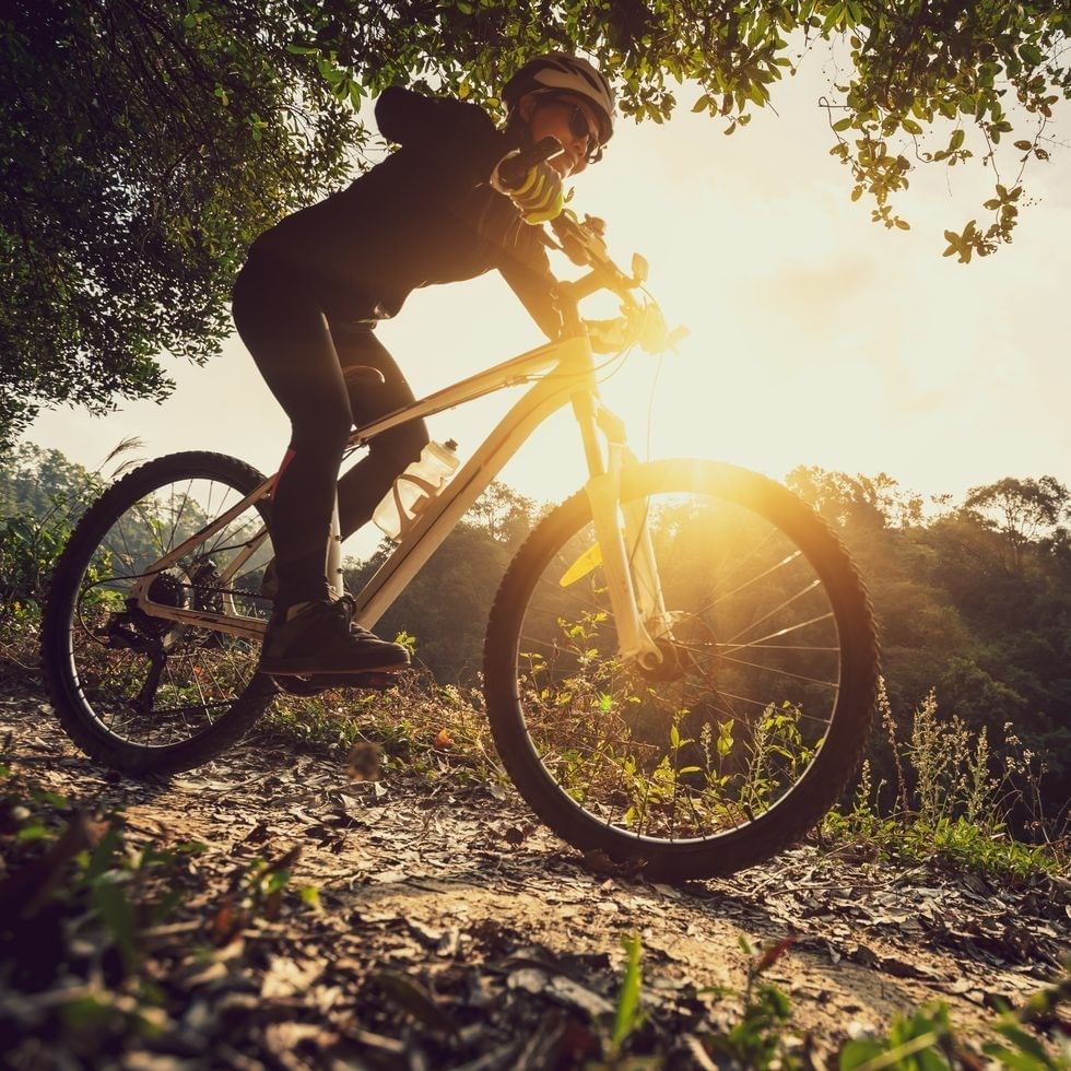 Cyclist riding a mountain bike on a dirt path under a bright sun near Falkensteiner Hotel Bad Leonfelden