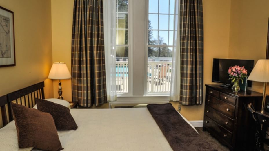 Family & Pet Friendly Rooms The Bethel Resort & Suites