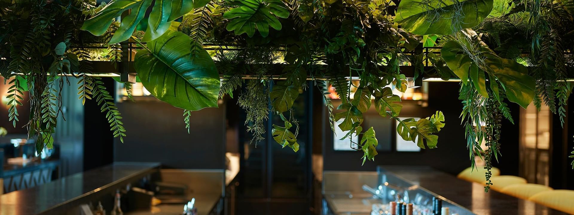 Bar counter with hanging green tropical plants in Evergreen Restaurant at Crown Hotel Melbourne