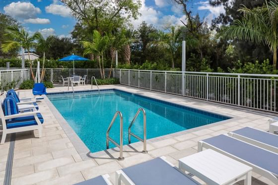 Outdoor pool with blue lounge chairs by white fencing under tall palm trees and blue skies at Star Suites Vero Beach