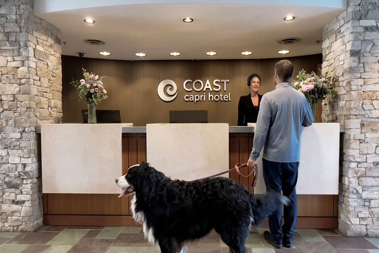 Dog in hotel lobby
