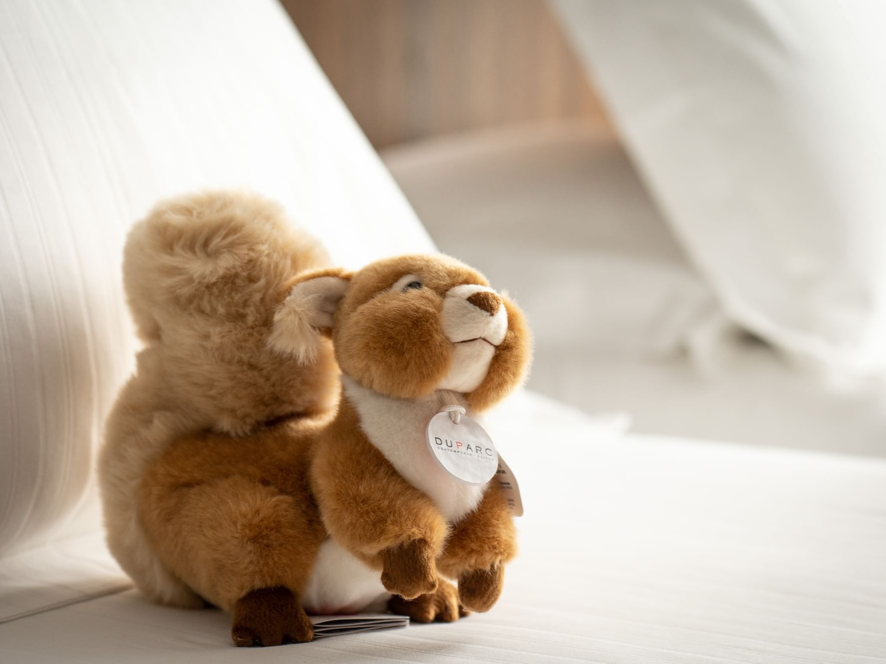 Dupy the squirrel by Trudi, the mascot of the hotel