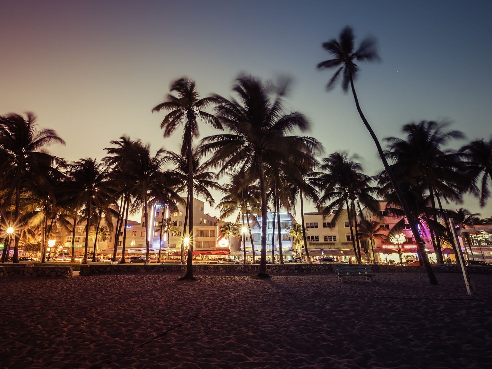 palm trees on south beach at sunrise