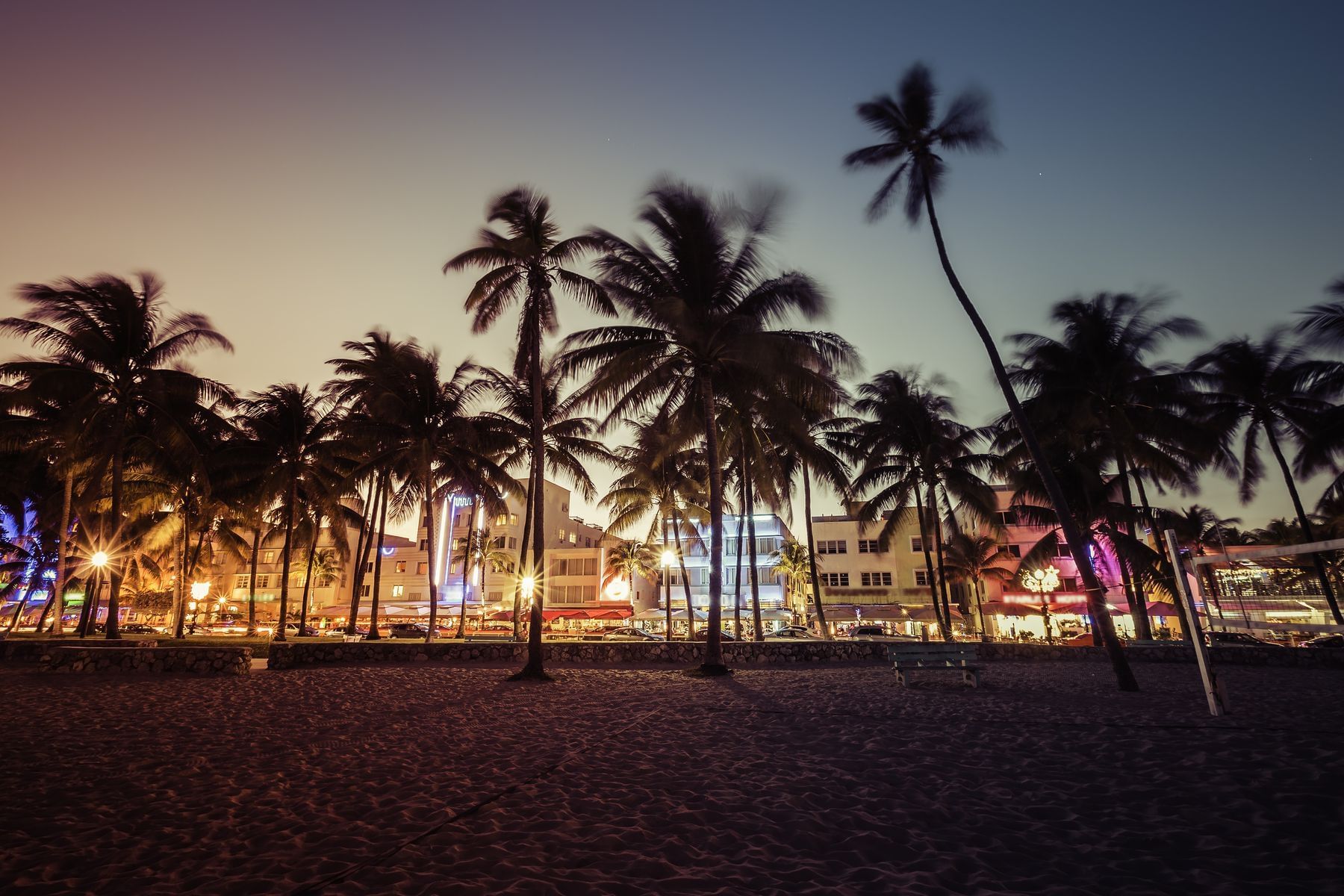 A beach scene at dusk with palm trees in the foreground and buildings in the background.